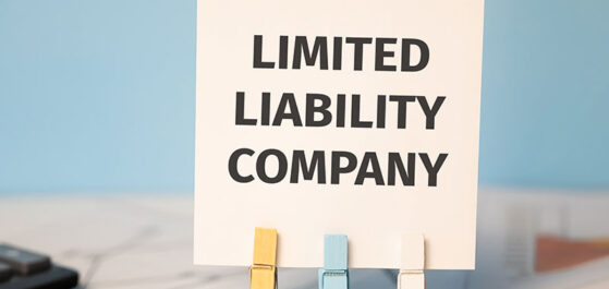 Advantages Of The Limited Liability Company (LLC)