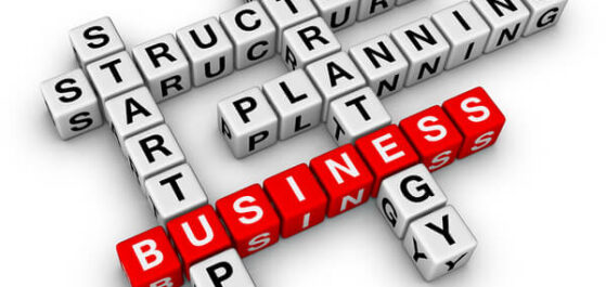 Choosing Your Business Structure: S vs C Corporations