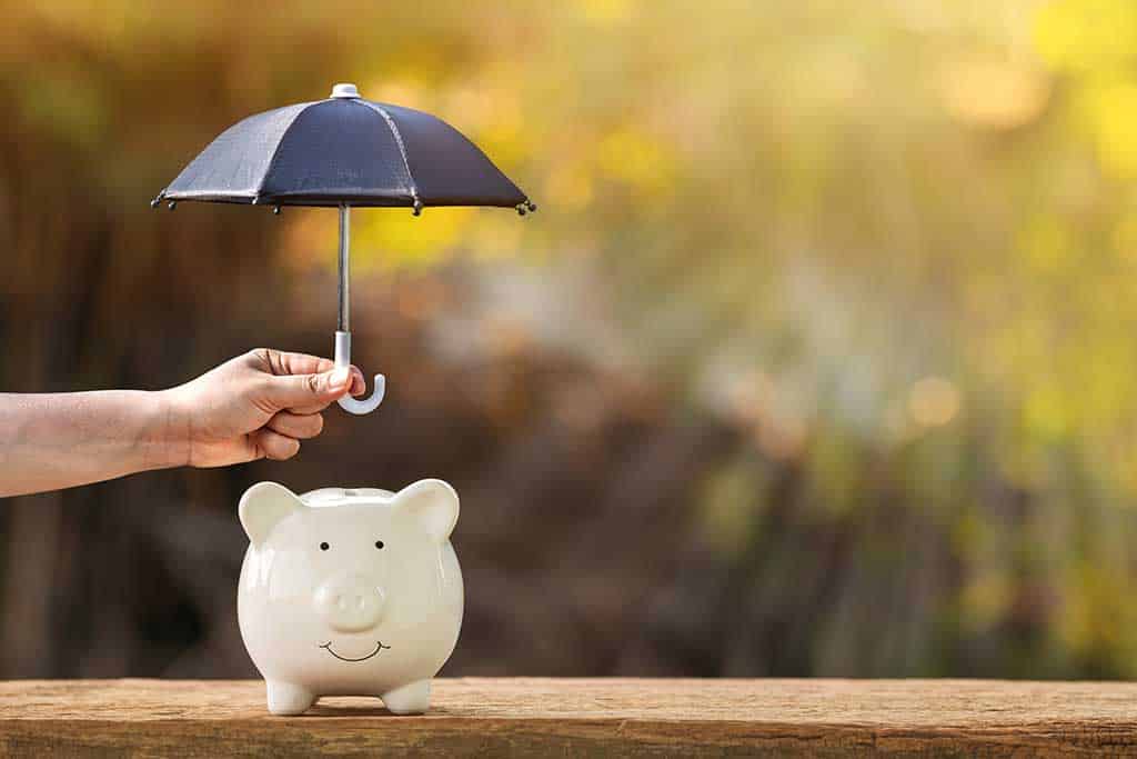 Piggy bank and woman hand hold the black umbrella for protect on sunlight in the public park,